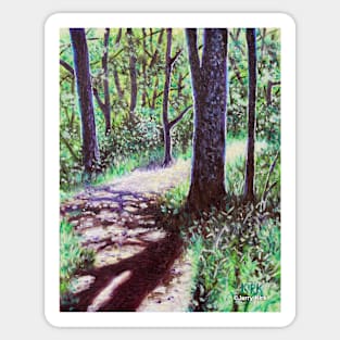 'Sunlight on the Trail' Sticker